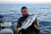 fabrizio lachi