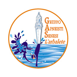 logo gruppo apneisti senesi