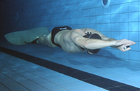training