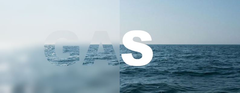 mare